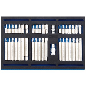 Draper Screwdriver Insert Bit Set in 1/4 Drawer EVA Insert Tray (40 Piece) (63515) Draper Screwdriver Insert Bit Set in 1/4 Drawer EVA Insert Tray (40 Piece) (63515)