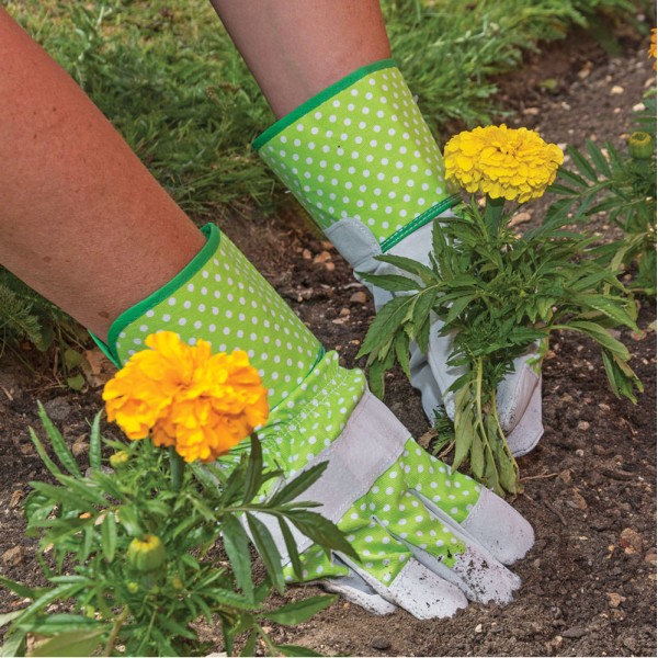 Draper Gardening Rigger Gloves - Medium Draper Gardening Rigger Gloves - Medium