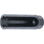 Exhaust System (31)