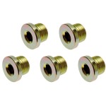 Oil Drain Screw & Thread Repair