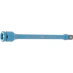 Torsion Bars (13)