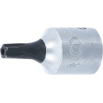 TS-Star (for Torx)