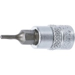 T-Star (for Torx)