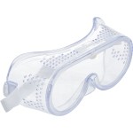 Safety Glasses (10)