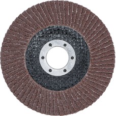 BGS Technic Flap Disc | &Oslash;  115 mm | K 80
