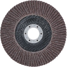 BGS Technic Flap Disc | &Oslash;  125 mm | K 40