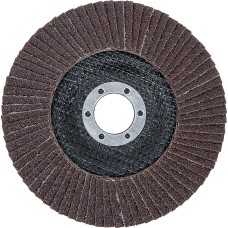 BGS Technic Flap Disc | &Oslash;  125 mm | K 60