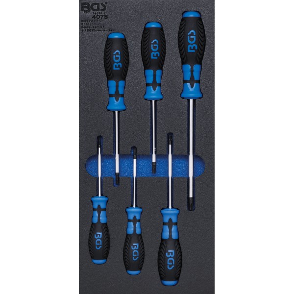 BGS Technic Tool Tray 1/3: Screwdriver T-Star (for Torx) | 6 pcs. BGS Technic Tool Tray 1/3: Screwdriver T-Star (for Torx) | 6 pcs.