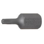 T-Star (for Torx)