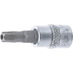 TS-Star (for Torx)