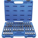 TS-Star (for Torx)