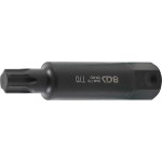 T-Star (for Torx)