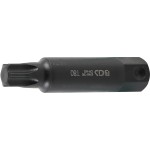 T-Star (for Torx)