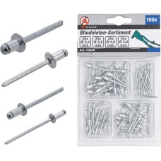 BGS Technic Blind Rivets Assortment | Ø  2.4 - 4.8 mm | 100 pcs.