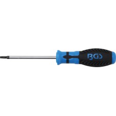 BGS Technic Screwdriver | T-Star tamperproof (for Torx) T25 | Blade Length 100 mm