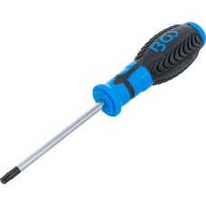 BGS Technic Screwdriver | T-Star tamperproof (for Torx) T30 | Blade Length 100 mm