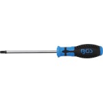 T-Star tamperproof (for Torx)