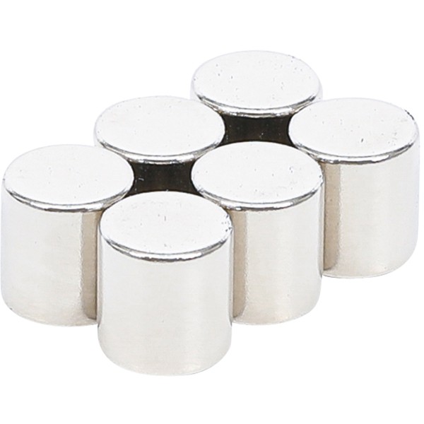 BGS Technic Magnet Set | extra strong | Ø 9.5 mm | 6 pcs. BGS Technic Magnet Set | extra strong | Ø 9.5 mm | 6 pcs.