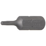 T-Star (for Torx) (24)
