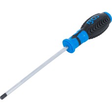 BGS Technic Screwdriver | internal Hexagon 6 mm | Blade Length 150 mm BGS Technic Screwdriver | internal Hexagon 6 mm | Blade Length 150 mm