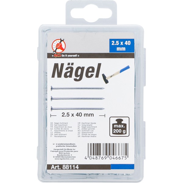 BGS Technic Nail Assortment | 200 g | 2.5 x 40 mm BGS Technic Nail Assortment | 200 g | 2.5 x 40 mm