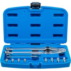 BGS Technic Face Pin Wrench Set | adjustable | ~ 2.5 - 9 mm