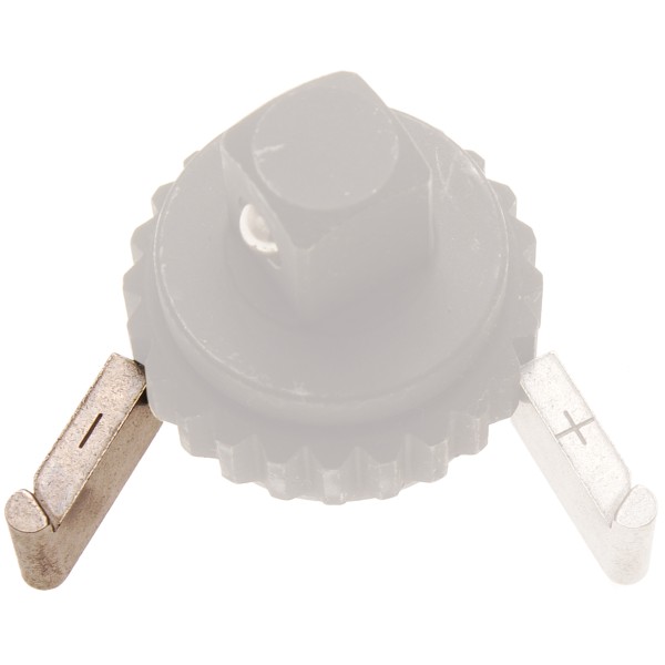 BGS Technic Spare Ratchet Plate for Torque Wrench | - | for BGS 968 BGS Technic Spare Ratchet Plate for Torque Wrench | - | for BGS 968