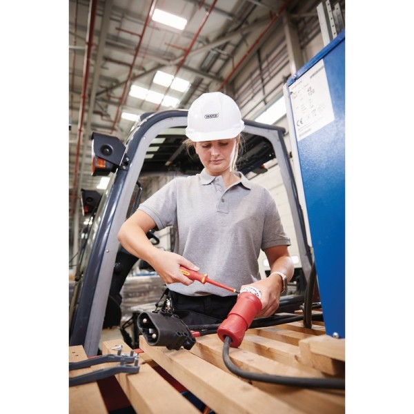 Draper EXPERT XP1000 VDE PZ Type Screwdriver No.2 x 100mm Draper EXPERT XP1000 VDE PZ Type Screwdriver No.2 x 100mm