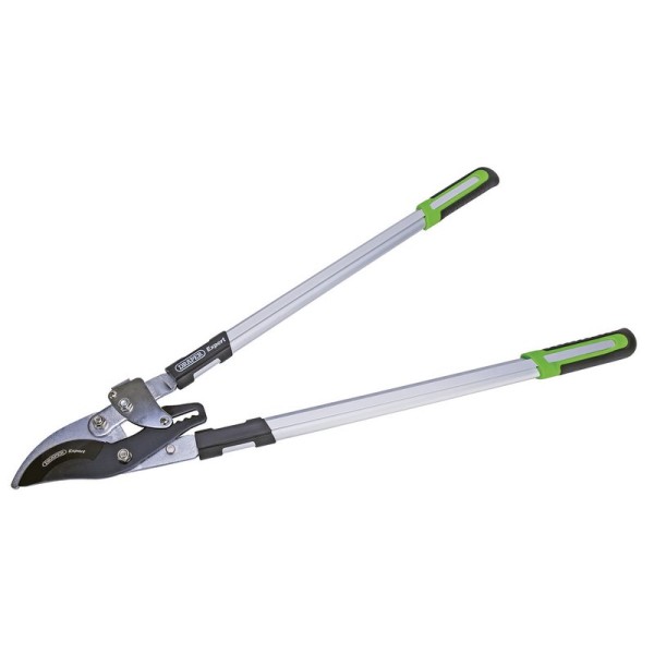 Draper EXPERT Ratchet Action Bypass Pattern Loppers (750mm) Draper EXPERT Ratchet Action Bypass Pattern Loppers (750mm)