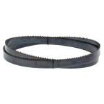 Saw Blades (12)