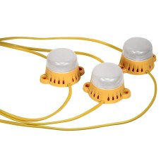 Lighthouse LED Festoon Lights 22M 10 Bulbs 110V